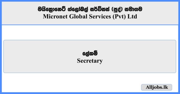 Secretary - Micronet Global Services (Pvt) Ltd