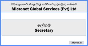 Secretary - Micronet Global Services (Pvt) Ltd