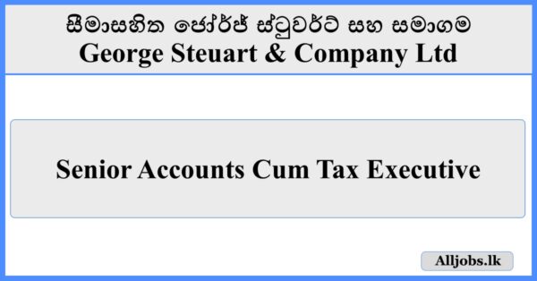 Senior Accounts Cum Tax Executive - George Steuart & Company