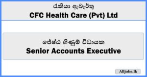 Senior Accounts Executive - CFC Health Care (Pvt) Ltd