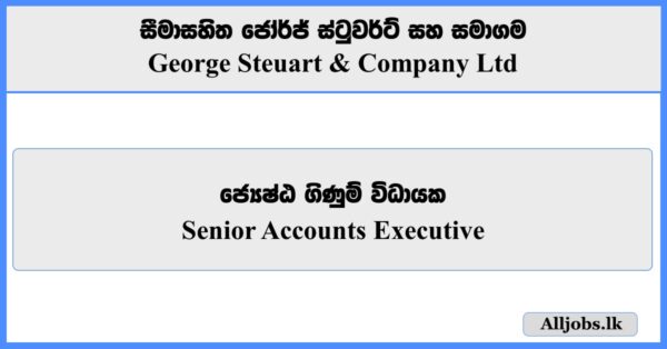 Senior Accounts Executive - George Steuart & Company Ltd