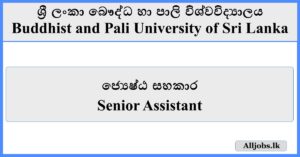 Senior Assistant - Buddhist and Pali University of Sri Lanka