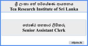Senior Assistant Clerk - Tea Research Institute of Sri Lanka