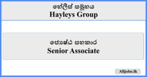 Senior Associate - Hayleys Group