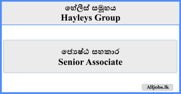 Senior Associate - Hayleys Group