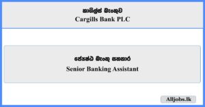 Senior Banking Assistant - Cargills Bank