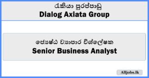 Senior Business Analyst