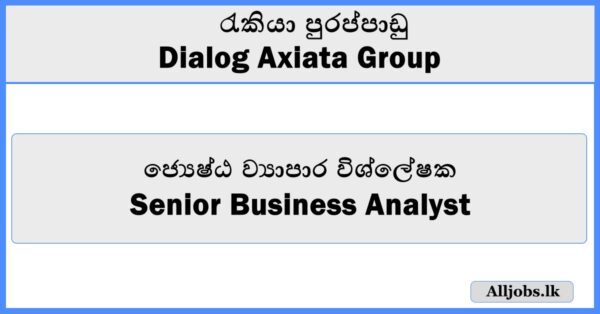 Senior Business Analyst