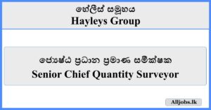 Senior Chief Quantity Surveyor - Hayleys Group