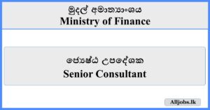 Senior Consultant - Ministry of Finance