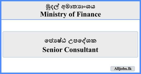 Senior Consultant - Ministry of Finance