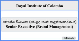 Senior Executive (Brand Management) - Royal Institute of Colombo