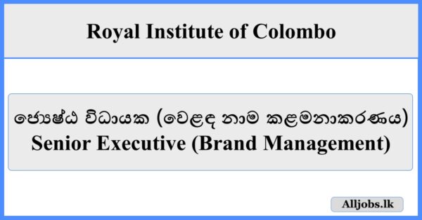 Senior Executive (Brand Management) - Royal Institute of Colombo
