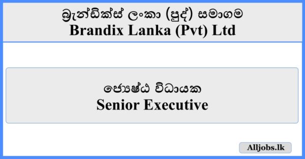 Senior Executive - Brandix Lanka (Pvt) Ltd