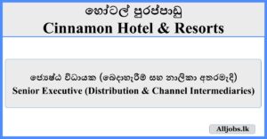 Senior Executive - Cinnamon Hotel & Resorts