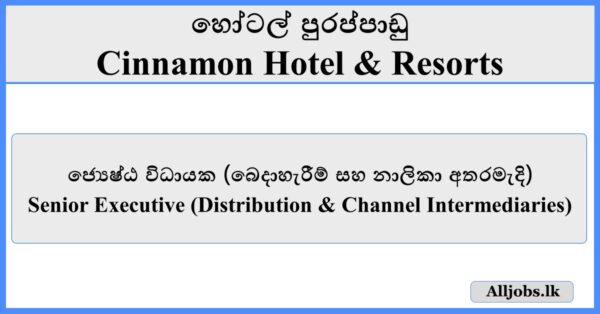 Senior Executive - Cinnamon Hotel & Resorts