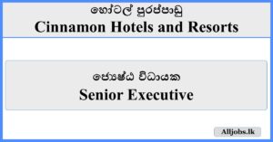 Senior Executive - Cinnamon Hotels and Resorts