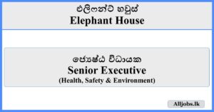 Senior Executive - Elephant House