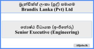 Senior Executive (Engineering) - Brandix Lanka