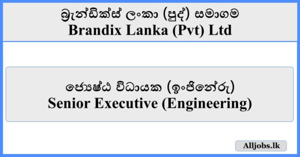 Senior Executive (Engineering) - Brandix Lanka