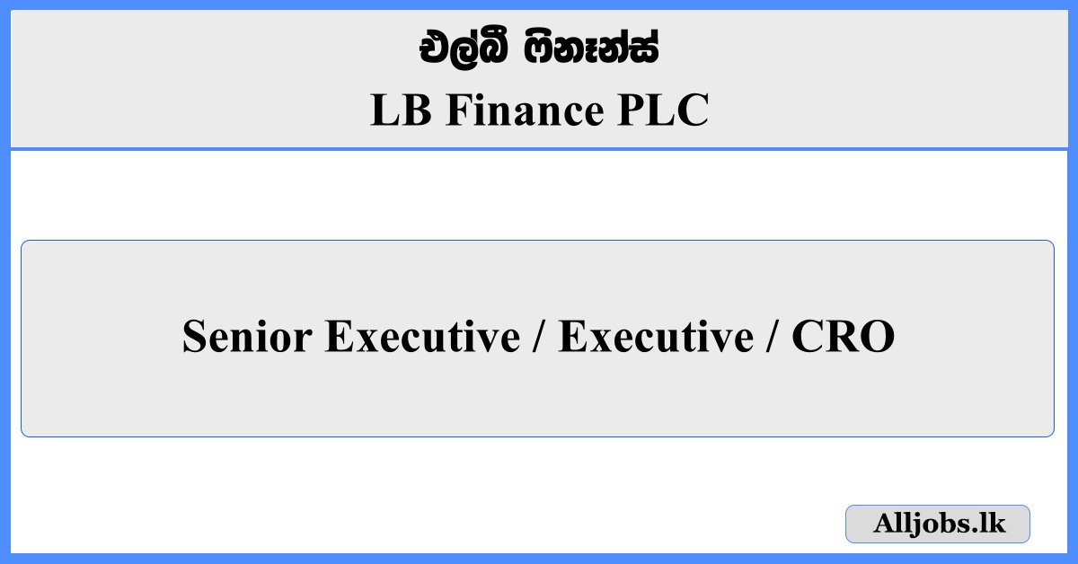 Senior Executive, Executive, CRO - LB Finance PLC