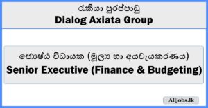 Senior Executive (Finance & Budgeting) - Dialog Axiata Group