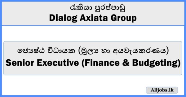 Senior Executive (Finance & Budgeting) - Dialog Axiata Group