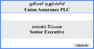 Senior Executive - Union Assurance