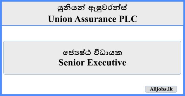 Senior Executive - Union Assurance
