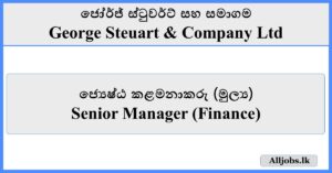 Senior Manager (Finance) - George Steuart