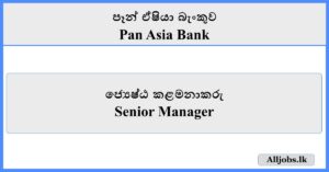 Senior Manager - Pan Asia Bank