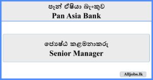 Senior Manager - Pan Asia Bank