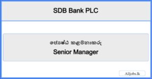 Senior Manager-SDB Bank