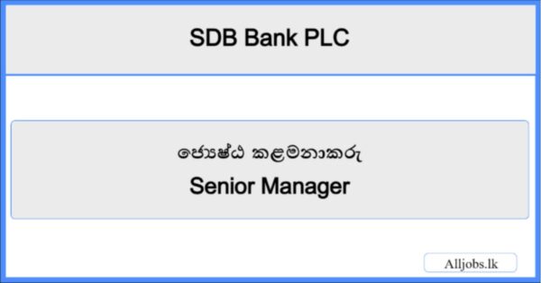 Senior Manager-SDB Bank