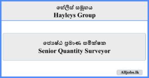 Senior Quantity Surveyor - Hayleys Group