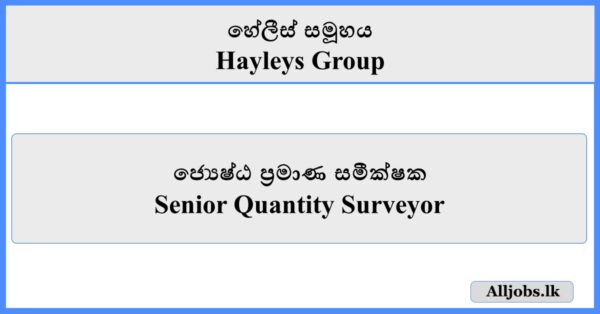 Senior Quantity Surveyor - Hayleys Group