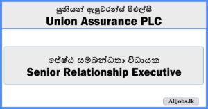 Senior Relationship Executive - Union Assurance PLC
