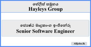 Senior Software Engineer - Hayleys Group