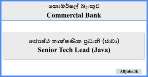 Senior Tech Lead (Java) - Commercial Bank