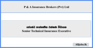 Senior Technical Insurance Executive - P & A Insurance Brokers