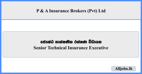Senior Technical Insurance Executive - P & A Insurance Brokers