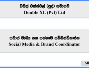 Social Media & Brand Coordinator - Double XL (Pvt) Ltd