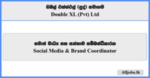Social Media & Brand Coordinator - Double XL (Pvt) Ltd