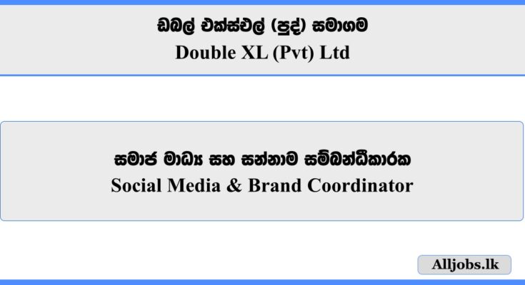 Social Media & Brand Coordinator - Double XL (Pvt) Ltd
