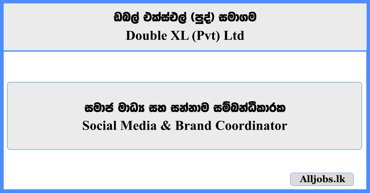 Social Media & Brand Coordinator - Double XL (Pvt) Ltd