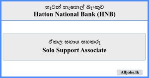Solo Support Associate - Hatton National Bank (HNB)