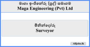 Surveyor - Maga Engineering