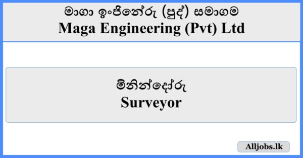 Surveyor - Maga Engineering