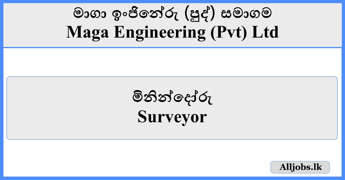 Surveyor - Maga Engineering