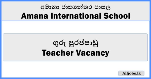Teacher Vacancy - Amana International School